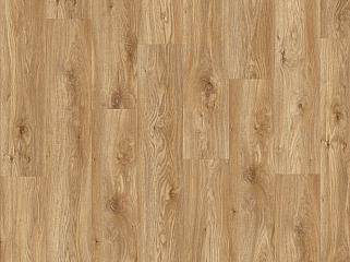 IVC Moduleo Roots 58346 Дуб Sierra