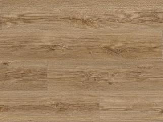 KAINDL K4421 Дуб Evoke Trend