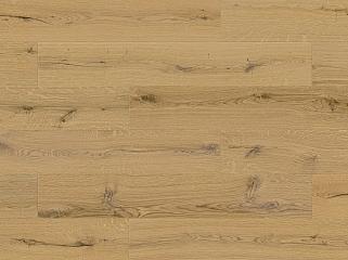 SPC BARLINEK Forma DP3000003 Дуб Honey