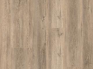 XpertPro Best 4V 00130 Дуб Jack