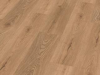 CHECK SPC 4132 Дуб Dschibuti