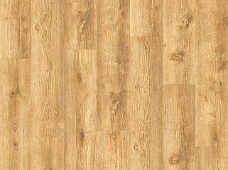 IVC Origin 30 24279 Дуб Limber