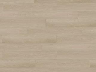 Corepel S41402 Дуб Beige
