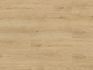 CHECK SPC 2484 Дуб Marienthal