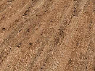 CHECK SPC 4129 Дуб Mombasa