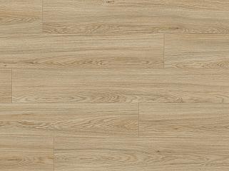 WIPARQUET 67798 Дуб Roadville