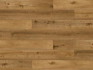 SPC Apro Authentic AC-501-PL Дуб Gold