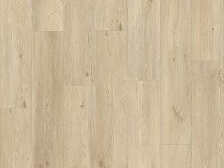 IVC Moduleo Roots 86237 Дуб Galtymore