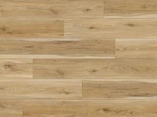 Beaulieu Oceania Kingston