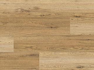 KAINDL K2214 Гікорі Georgia