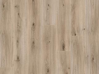 XpertPro Better 4V 00123 Дуб Gloom