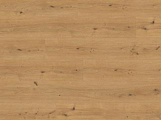 Egger Long Aqua 33/10 EL2137 Дуб Кадис медовий