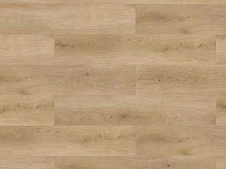 CHECK SPC 2461 Дуб Buchrasen