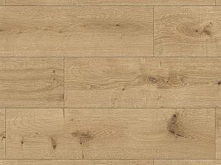 SPC ROCKO R128 Аскет