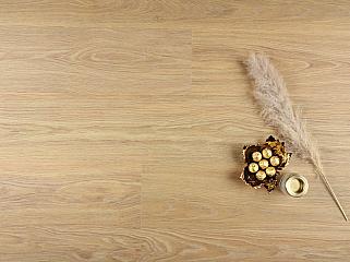 SPC BARLINEK Next Step Large DP5000019 Дуб Gold