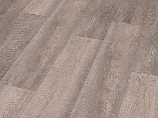 CHECK SPC 4131 Дуб Moroni