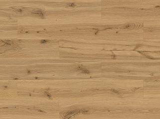 SPC BARLINEK Forma DP3000001 Дуб Amber