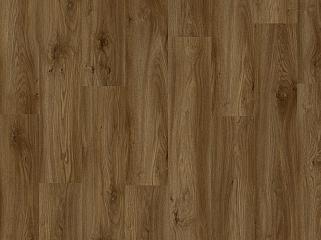 IVC Moduleo Roots 58876 Дуб Sierra