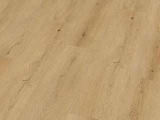 CHECK SPC 4123 Дуб Zaire