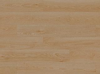 SPC BARLINEK Forma DP3000013 Дуб Apricot