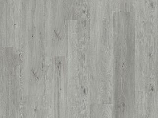 IVC Moduleo Roots 86936 Дуб Galtymore