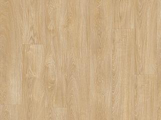 IVC Moduleo Roots 51282 Дуб Laurel