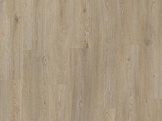 IVC Moduleo Roots 86851 Дуб Galtymore