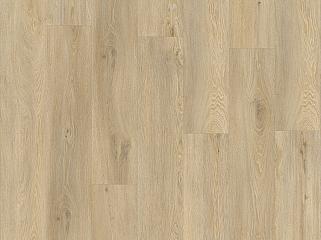 IVC Moduleo Roots 86339 Дуб Galtymore