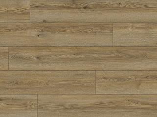 CLASSEN 66720 Дуб Brookside