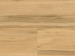 Wineo DB292WXL Дуб Shadow Nature