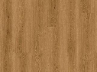 CHECK LVT 2511E Дуб Albera