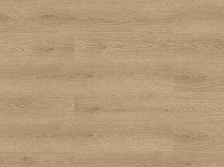 CHECK SPC 2482 Дуб Wees