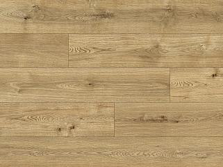 CLASSEN 56687 Дуб Livorno