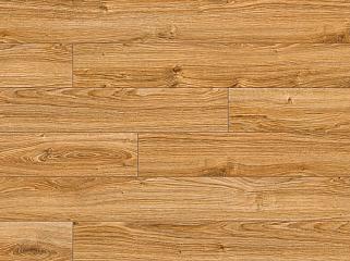 CLASSEN 28590 Дуб Гамільтон