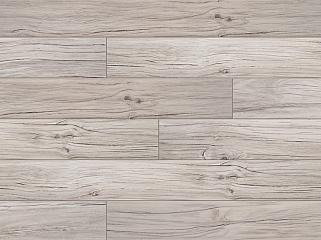 CLASSEN 40853 Дуб Барлетта