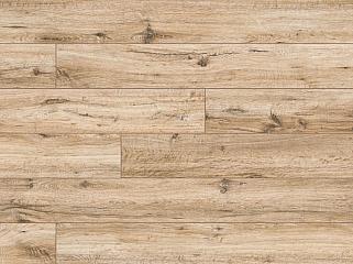 CLASSEN 44842 Дуб Флоріда