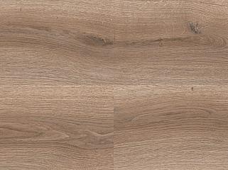 IVC Linea 24230 Дуб Дюна