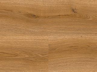 IVC Linea 24832 Дуб Дюна