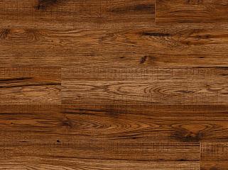 KAINDL 34074 Гікорі Georgia