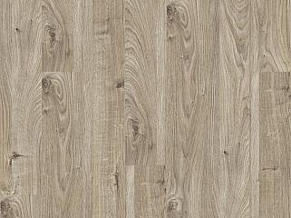 KRONOTEX Mammut 3081 Дуб Everest Beige