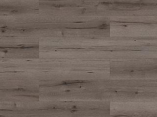 CLASSEN Mood WR 56209 Biskra