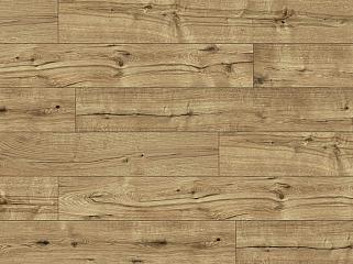 CLASSEN 54431 Дуб Місяць