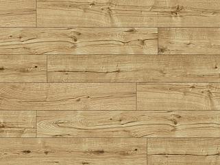 CLASSEN 54433 Дуб Еліс