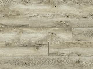 CLASSEN 55274 Дуб Сантуро