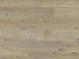 QUICK STEP IM3557 Дуб м'який світло-коричневий