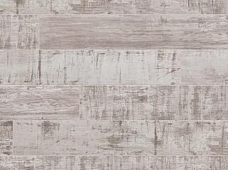 CLASSEN 42947 Дуб Небраска