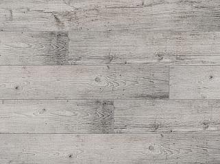 CLASSEN 46425 Сосна Арканзас