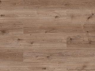 CLASSEN Skyline WR 56181 Kofa