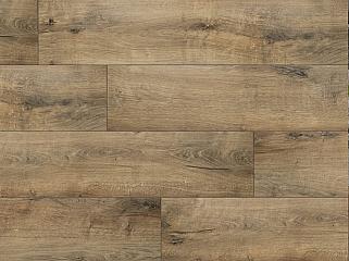 CLASSEN 55067 Дуб Меріда