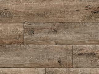 CLASSEN 55068 Дуб Равело